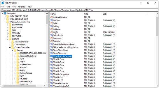 Audio Capture Setting